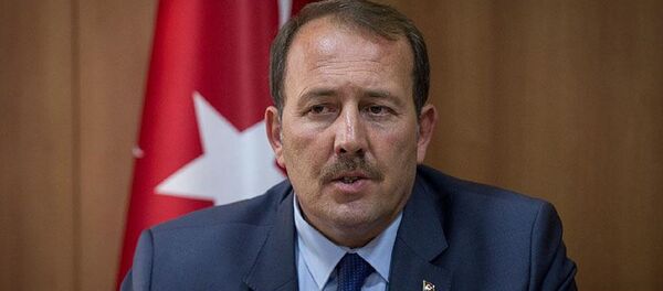 AK Parti Genel Başkan Yardımcısı Harun Karacan - Sputnik Türkiye