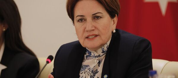 Meral Akşener Meral Akşener - Sputnik Türkiye