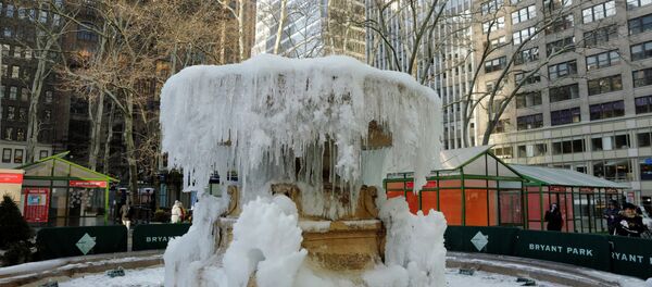 ABD'de soğuk havalar can aldı - Sputnik Türkiye