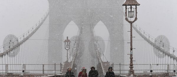 New York'ta kar fırtınası - Sputnik Türkiye
