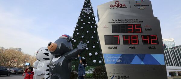 Pyeongchang Kış Olimpiyat Oyunları - Sputnik Türkiye