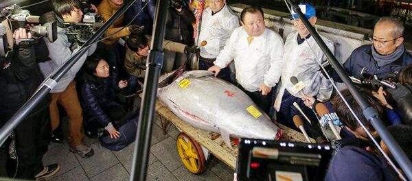 Tarihi Japonya balık hali Tsukiji'da 405 kilogramlık yılın ilk dev orkinosu, 320 bin dolara alıcı buldu - Sputnik Türkiye