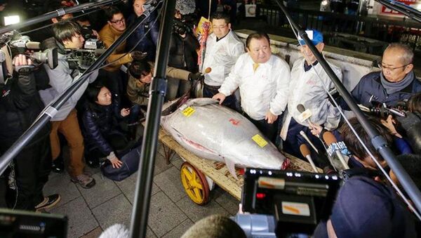 Tarihi Japonya balık hali Tsukiji'da 405 kilogramlık yılın ilk dev orkinosu, 320 bin dolara alıcı buldu - Sputnik Türkiye