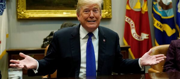 ABD Başkanı Donald Trump ABD Başkanı Donald Trump - Sputnik Türkiye