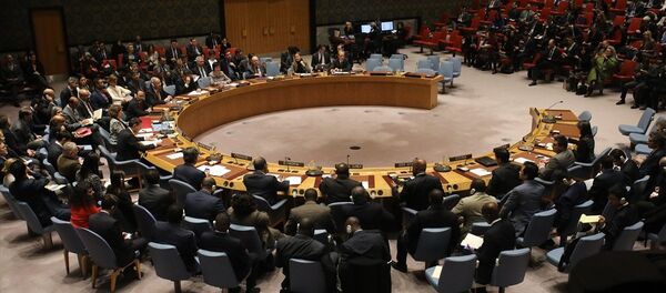 Birleşmiş Milletler Güvenlik Konseyi (BMGK), İran'daki protestolarla ilgili ABD'nin talebiyle toplandı - Sputnik Türkiye