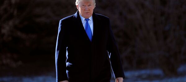 ABD Başkanı Donald Trump - Sputnik Türkiye