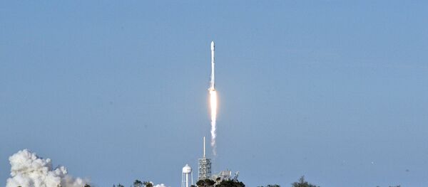 SpaceX-Falcon 9-Florida - Sputnik Türkiye