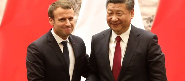 Fransa Cumhurbaşkanı Emmanuel Macron ile Çin Devlet Başkanı Şi Cinping - Sputnik Türkiye