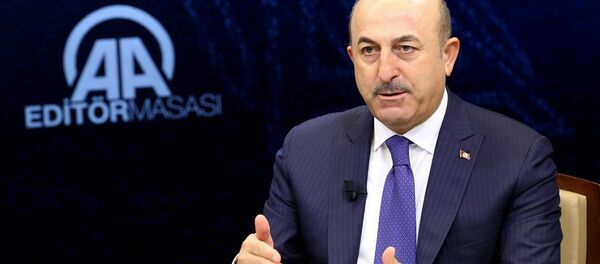 Dışişleri Bakanı Mevlüt Çavuşoğlu - Sputnik Türkiye