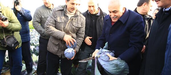 Gıda, Tarım ve Hayvancılık Bakanı Ahmet Eşref Fakıbaba - Sputnik Türkiye