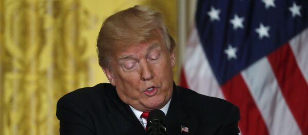 ABD Başkanı Donald Trump - Sputnik Türkiye