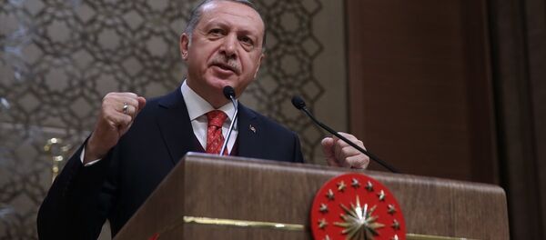 Recep Tayyip Erdoğan - Sputnik Türkiye