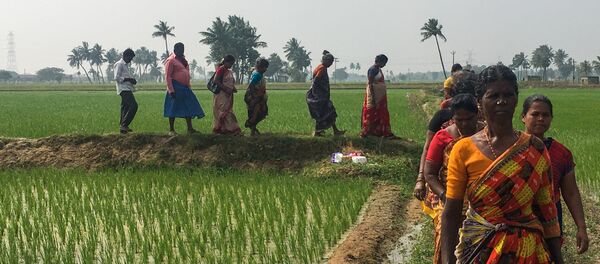 Kadınlar - Sputnik Türkiye