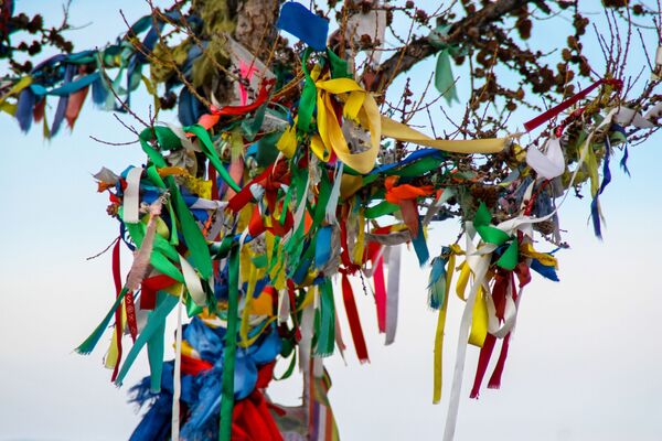 Budist hacılar, Ogoy Adası'nda bulunan stupa yakınlarındaki bir ağaçta şerit bırakıyor. - Sputnik Türkiye