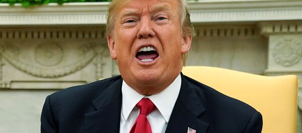 ABD Başkanı Donald Trump - Sputnik Türkiye