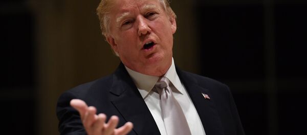 ABD Başkanı Donald Trump - Sputnik Türkiye
