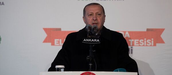 Cumhurbaşkanı Recep Tayyip Erdoğan - Sputnik Türkiye