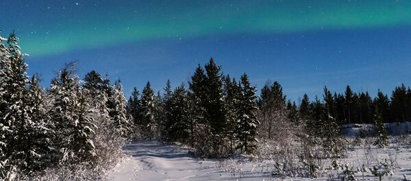 Rusya'da kutup ışıkları Rusya'da kutup ışıkları - Sputnik Türkiye