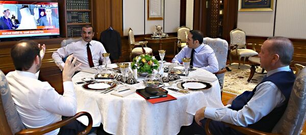 Katar Emiri el-Sani Cumhurbaşkanı Recep Tayyip Erdoğan ile görüştü - Sputnik Türkiye