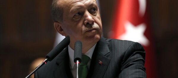 Cumhurbaşkanı Recep Tayyip Erdoğan - Sputnik Türkiye