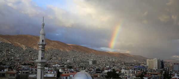 Suriye- Şam - Sputnik Türkiye