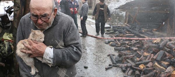 Kedisine sarılıp evinin yanışını izledi - Sputnik Türkiye