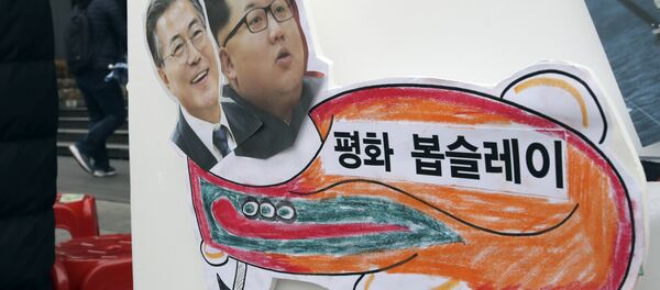 Barış Kızağı: Barışçı bir Olimpiyat yapılması talebiyle Seul'deki bir eylemdekullanılan ve üzerinde Kuzey ve Güney Kore liderlerinin bulunduğu döviz - Sputnik Türkiye