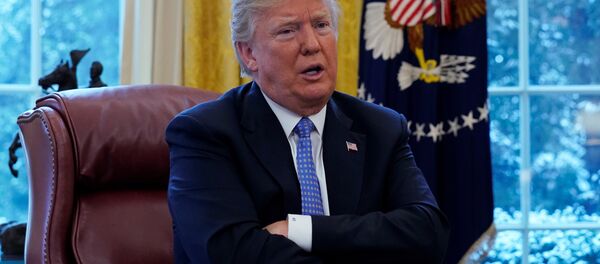 ABD Başkanı Donald Trump - Sputnik Türkiye