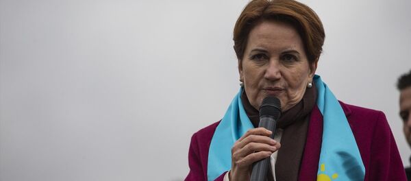 İYİ Parti Genel Başkanı Meral Akşener - Sputnik Türkiye