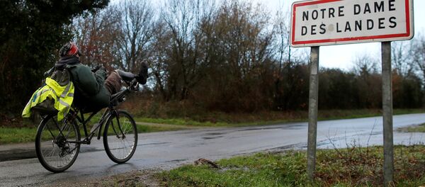 Fransa Notre-Dame-des-Landes - Sputnik Türkiye