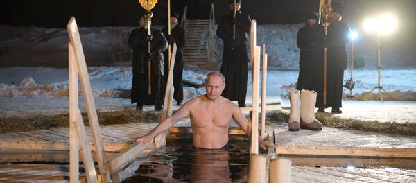 Rusya Devlet Başkanı Vladimir Putin - Sputnik Türkiye