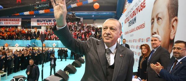 Cumhurbaşkanı Recep Tayyip Erdoğan Cumhurbaşkanı Recep Tayyip Erdoğan - Sputnik Türkiye