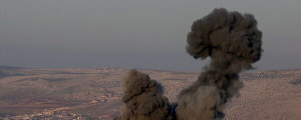 Afrin'e operasyon - Sputnik Türkiye