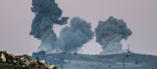 Afrin'e Zeytin Dalı Harekatı - Sputnik Türkiye