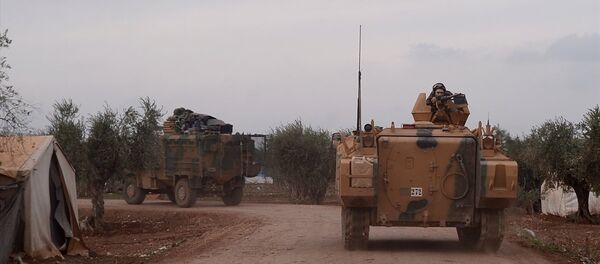 Afrin, Zeytin Dalı Harekatı - Sputnik Türkiye