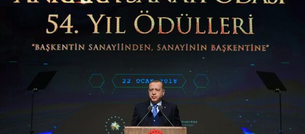Recep Tayyip Erdoğan - Sputnik Türkiye