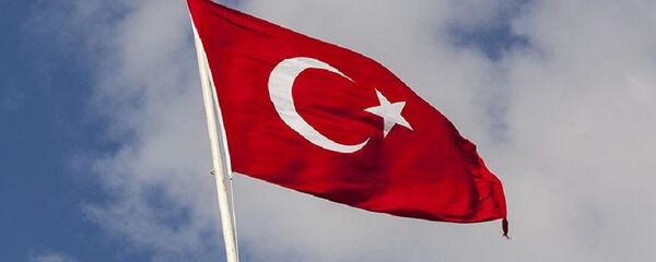 Türk bayrağı - Sputnik Türkiye