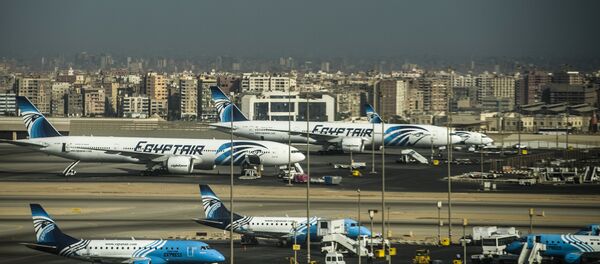 Egypt Air Mısır Havayolları Kahire Havaalanı - Sputnik Türkiye