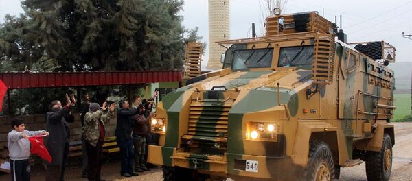 Afrin'e Zeytin Dalı Harekatı - Sputnik Türkiye