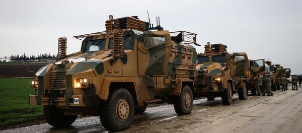 TSK'nın Afrin'e yönelik Zeytin Dalı Harekatı - Sputnik Türkiye