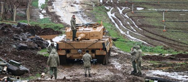 TSK'nın Afrin'e yönelik Zeytin Dalı Harekatı - Sputnik Türkiye