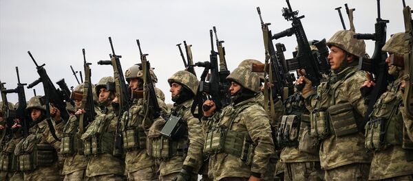 TSK'nın Afrin'e yönelik Zeytin Dalı Harekatı - Sputnik Türkiye