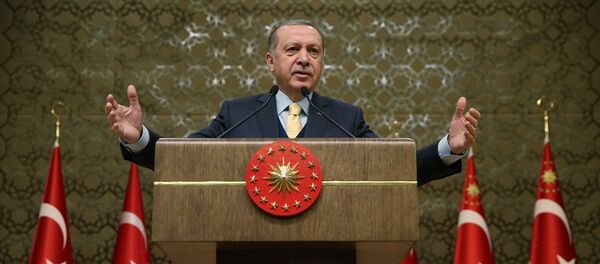 Cumhurbaşkanı Recep Tayyip Erdoğan - Sputnik Türkiye