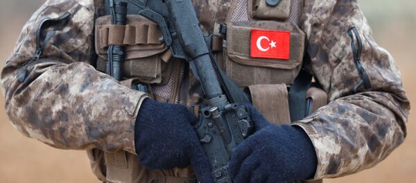 Zeytin Dalı Harekatı - Sputnik Türkiye