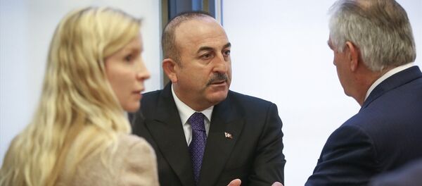 Çavuşoğlu Tillerson - Sputnik Türkiye