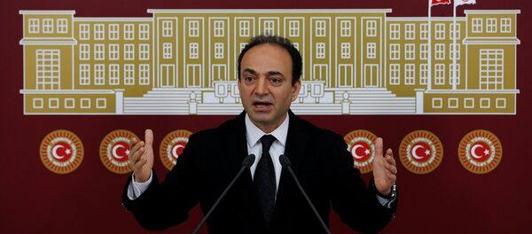 HDP Şanlıurfa Milletvekili Osman Baydemir - Sputnik Türkiye