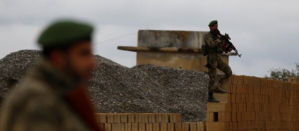 Afrin, Zeytin Dalı Harekatı - Sputnik Türkiye