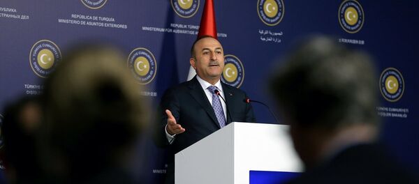 Mevlüt Çavuşoğlu - Sputnik Türkiye