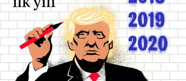 Trump'ın görevdeki ilk yılı - Sputnik Türkiye