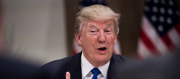 ABD Başkanı Donald Trump ABD Başkanı Donald Trump - Sputnik Türkiye